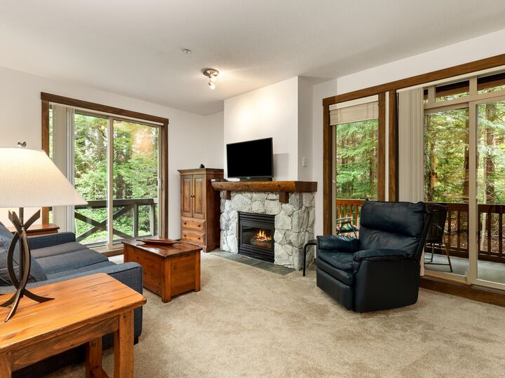4660 Blackcomb Way 225 — photo 1