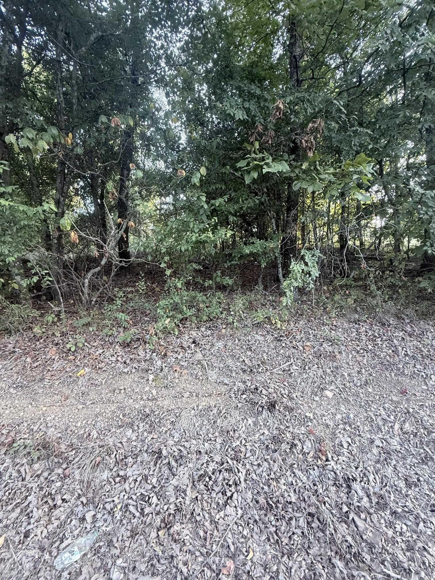 Property Photo:  Lot 10 Ridge  AR 72106 