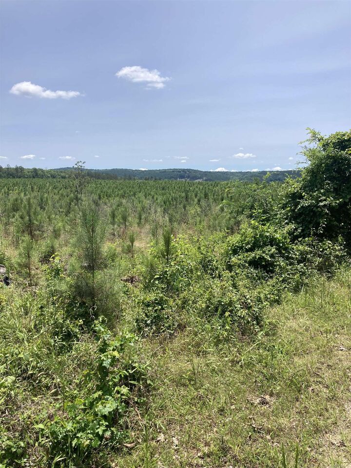Property Photo:  1414 Block Of Newkirk Circle  AR 71949 