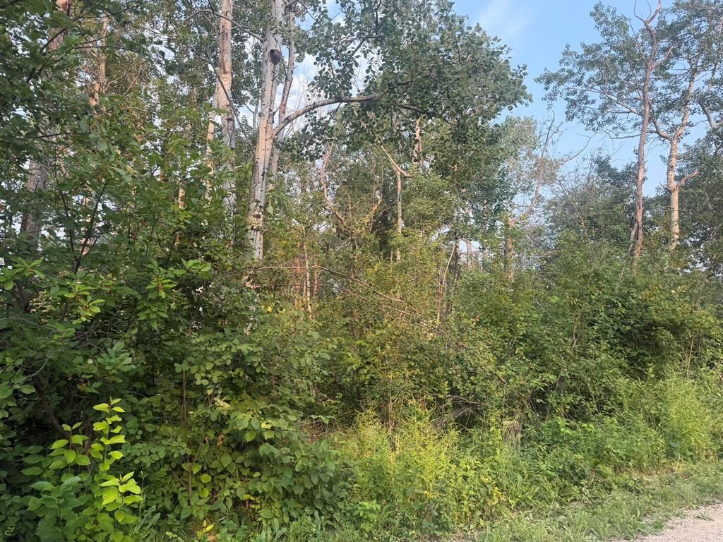 Property Photo: 17 Mildred Place MB R0E 0C0