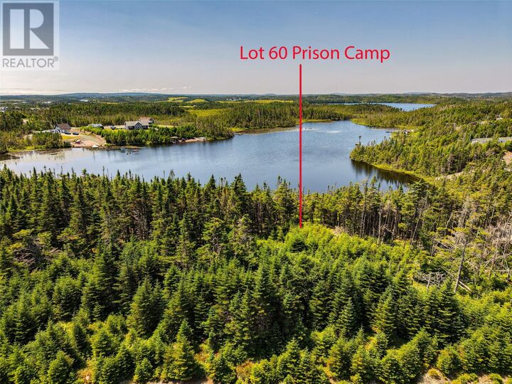 Property Photo:  Lot 60 Prison Camp Road  NL A0A 2R0 