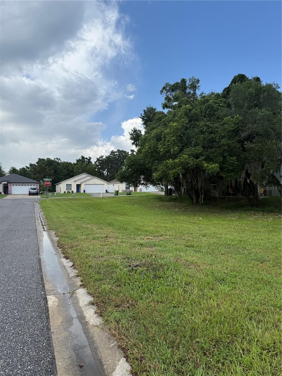 Property Photo:  Magnolia Street  FL 34748 