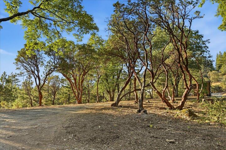 Property Photo:  21417 Running Horse Road  CA 95959 