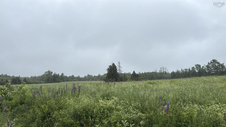 Lot Wallie Mingo Road — photo 1