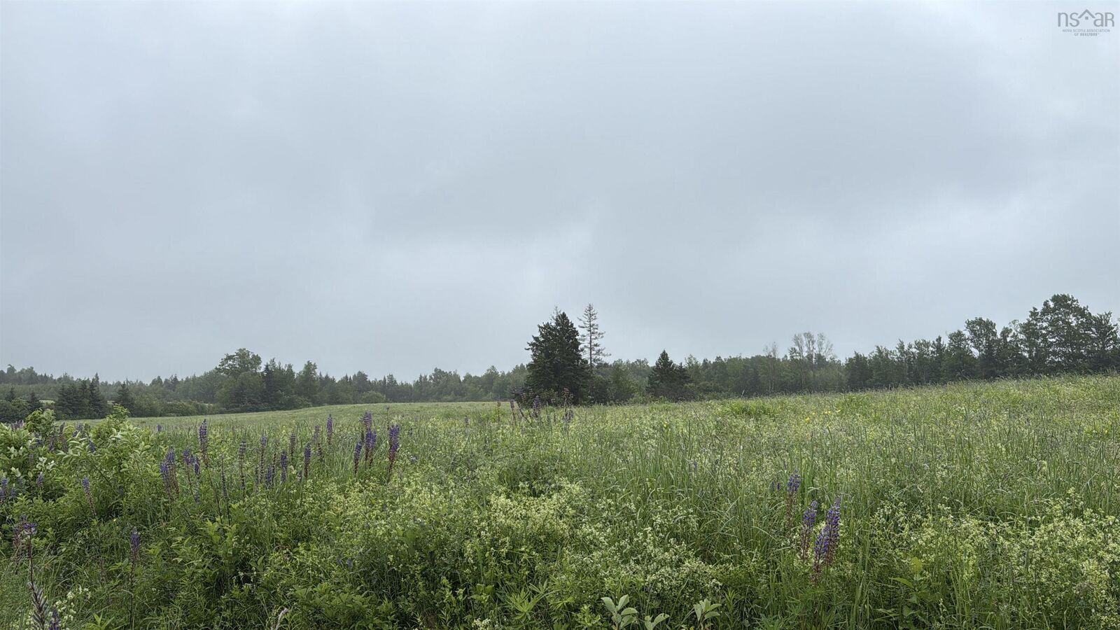 Property Photo:  Lot Wallie Mingo Road  NS B0K 1V0 