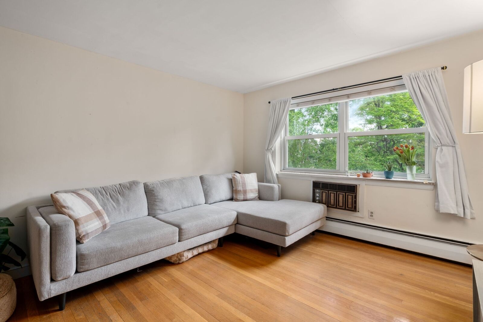 Property Photo:  14 Commonwealth Court 11  MA 02135 