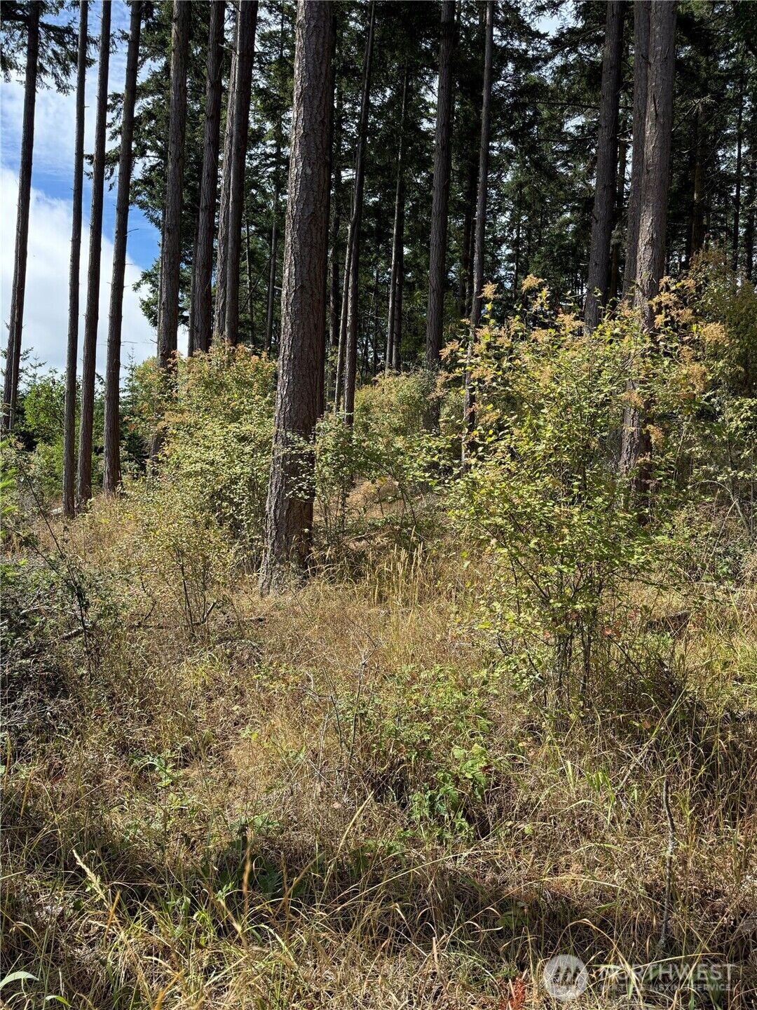 Property Photo:  999  Erin Street  WA 98368 