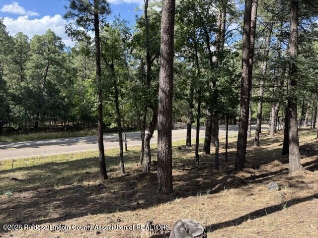 Property Photo:  Lot 62 Fort Stanton Rd. 4  NM 88312 