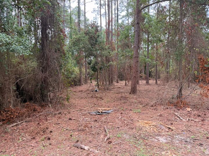 Property Photo:  115 Northlake Drive  GA 31791 