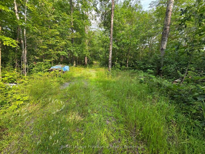 Property Photo:  1446 Flinton Road  ON K0H 1P0 
