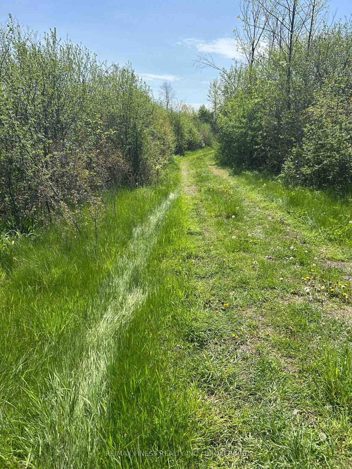 Property Photo:  Lot 75-81 Plan 65 Cross Street  ON K0H 2Y0 