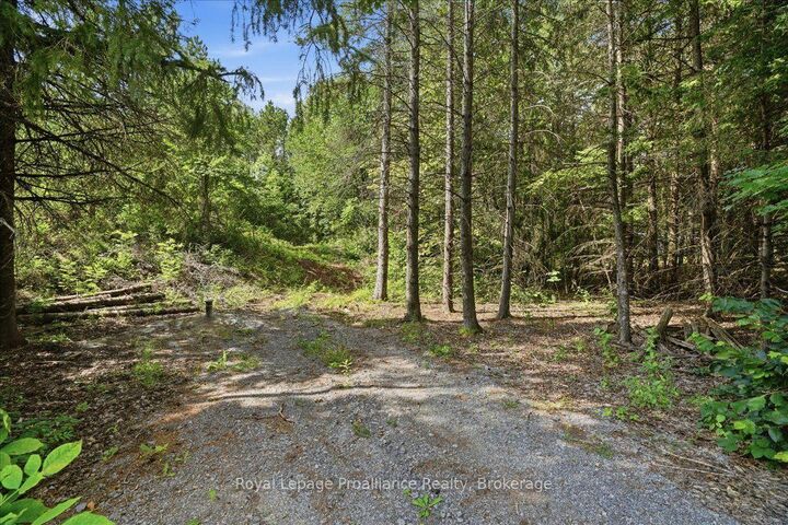 00 Otter Creek Road — photo 1