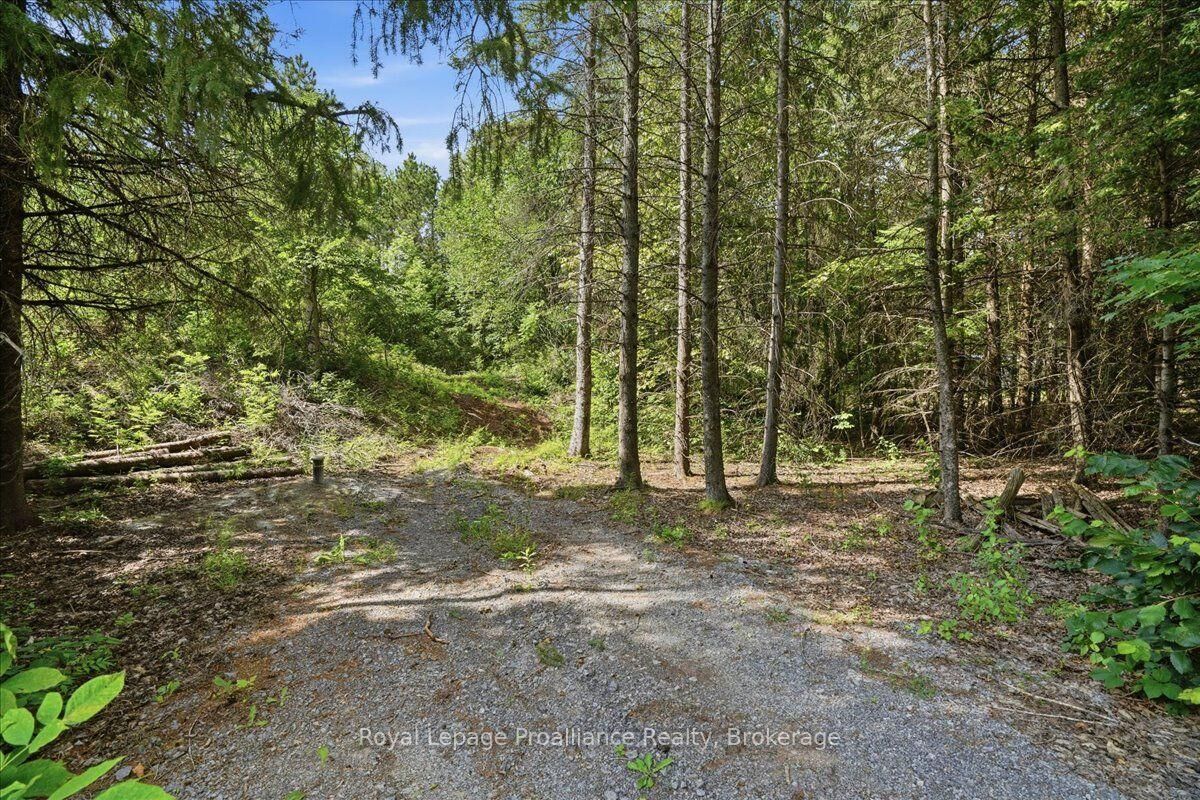 Property Photo:  00 Otter Creek Road  ON K0K 3J0 