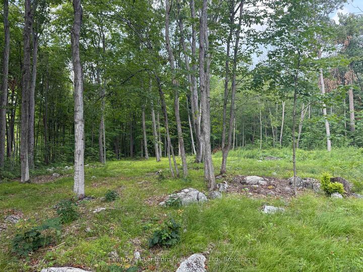 554 Pigden Road — photo 1