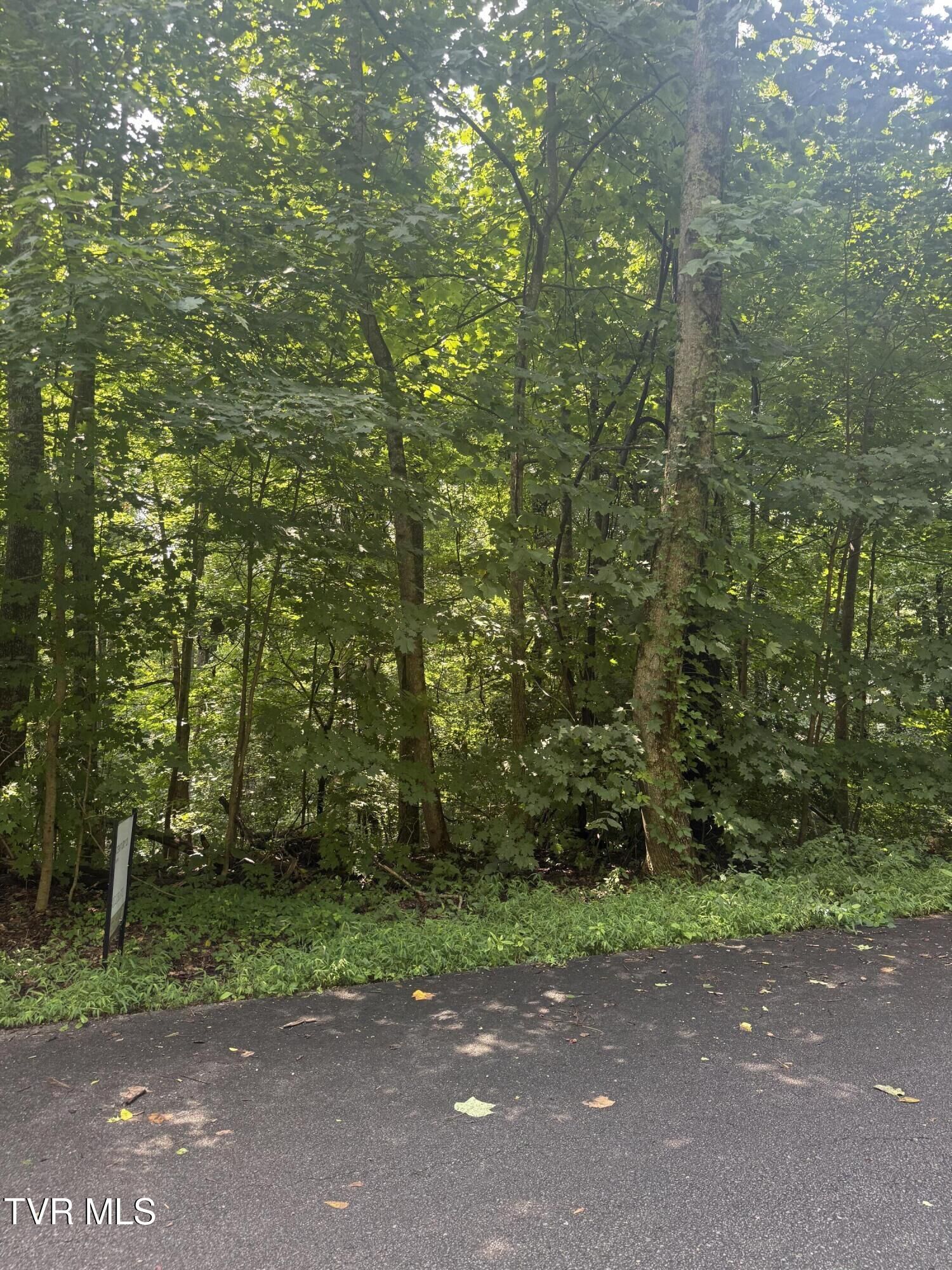 Property Photo:  2208 Nantucket Drive  TN 37604 