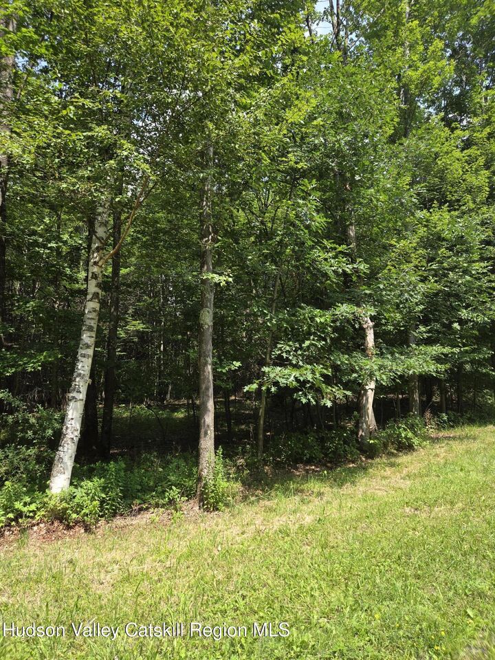 Property Photo:  0 Harry Peckham  NY 12468 