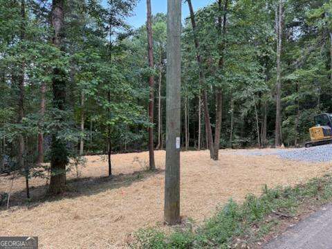 Property Photo:  Lot 195 Shenendoa Drive 195  GA 30540 
