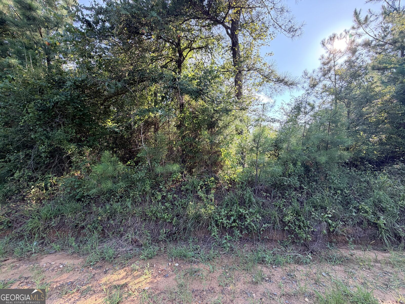 Property Photo:  0 Hollis Road  GA 31078 