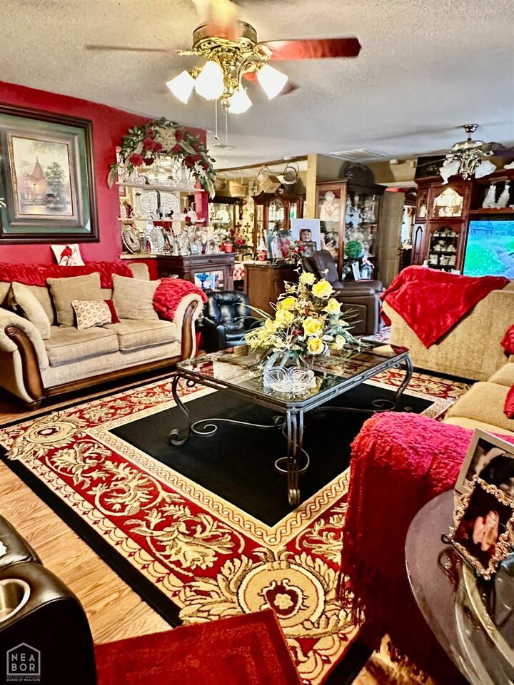 Property Photo:  205 Olive Street  AR 72472 