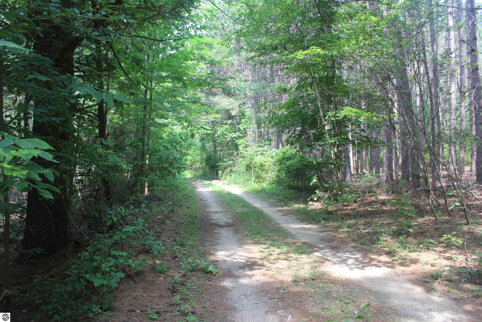 Property Photo: 0 Whitefish Trail MI 49648