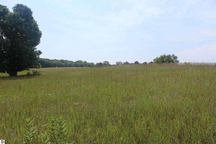 Property Photo: 0 Barnes Road MI 49648