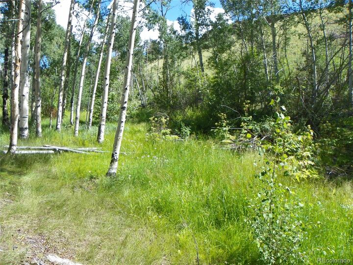 Property Photo:  None 33hh  CO 81149 