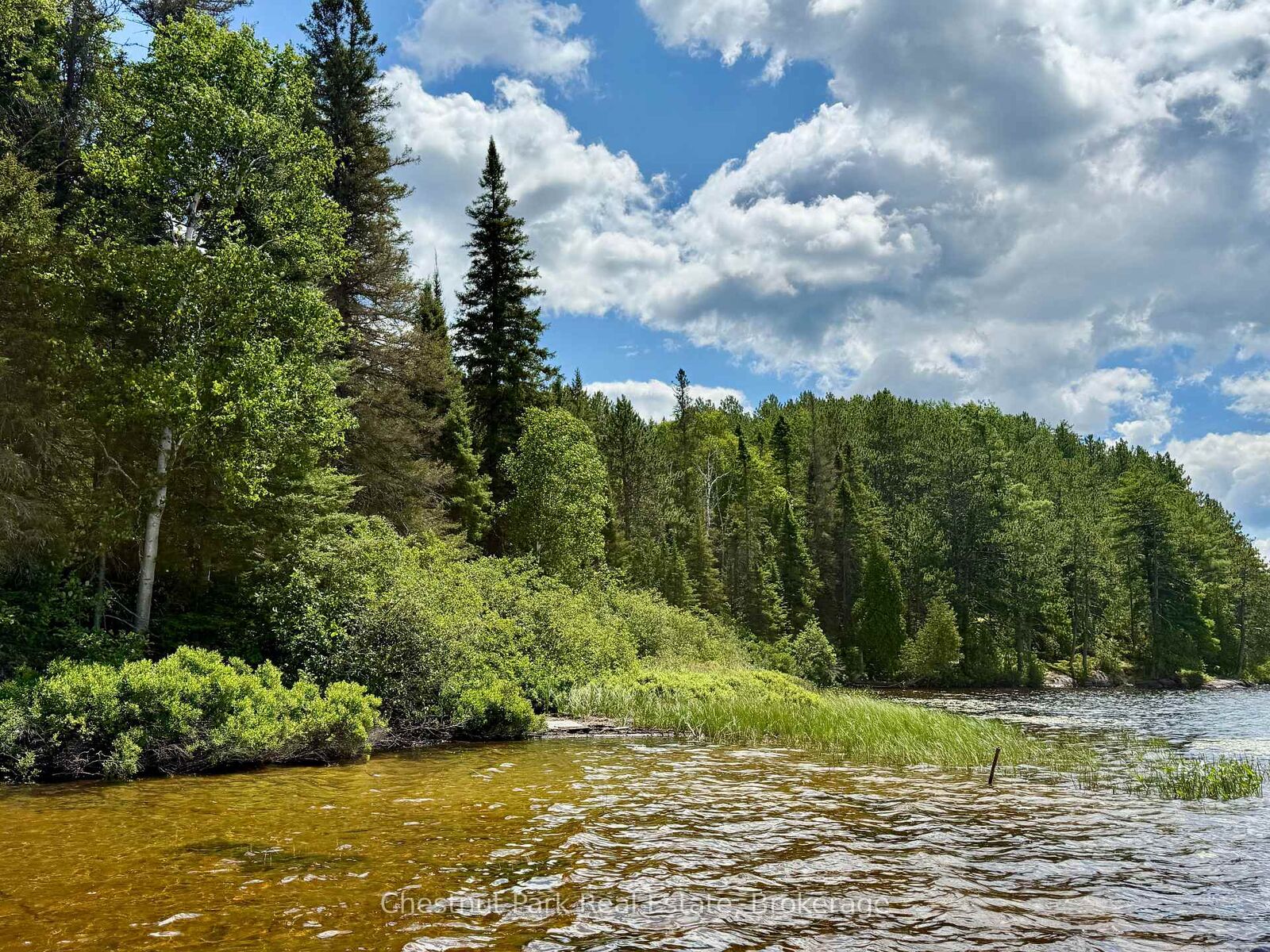 Property Photo:  17 Whitefish Lake Apl1582 N/A  ON K0J 2M0 