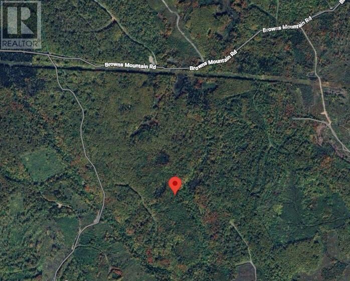 Property Photo:  0 Browns Mountain Road, Browns Mountain  NS B2G 2K9 