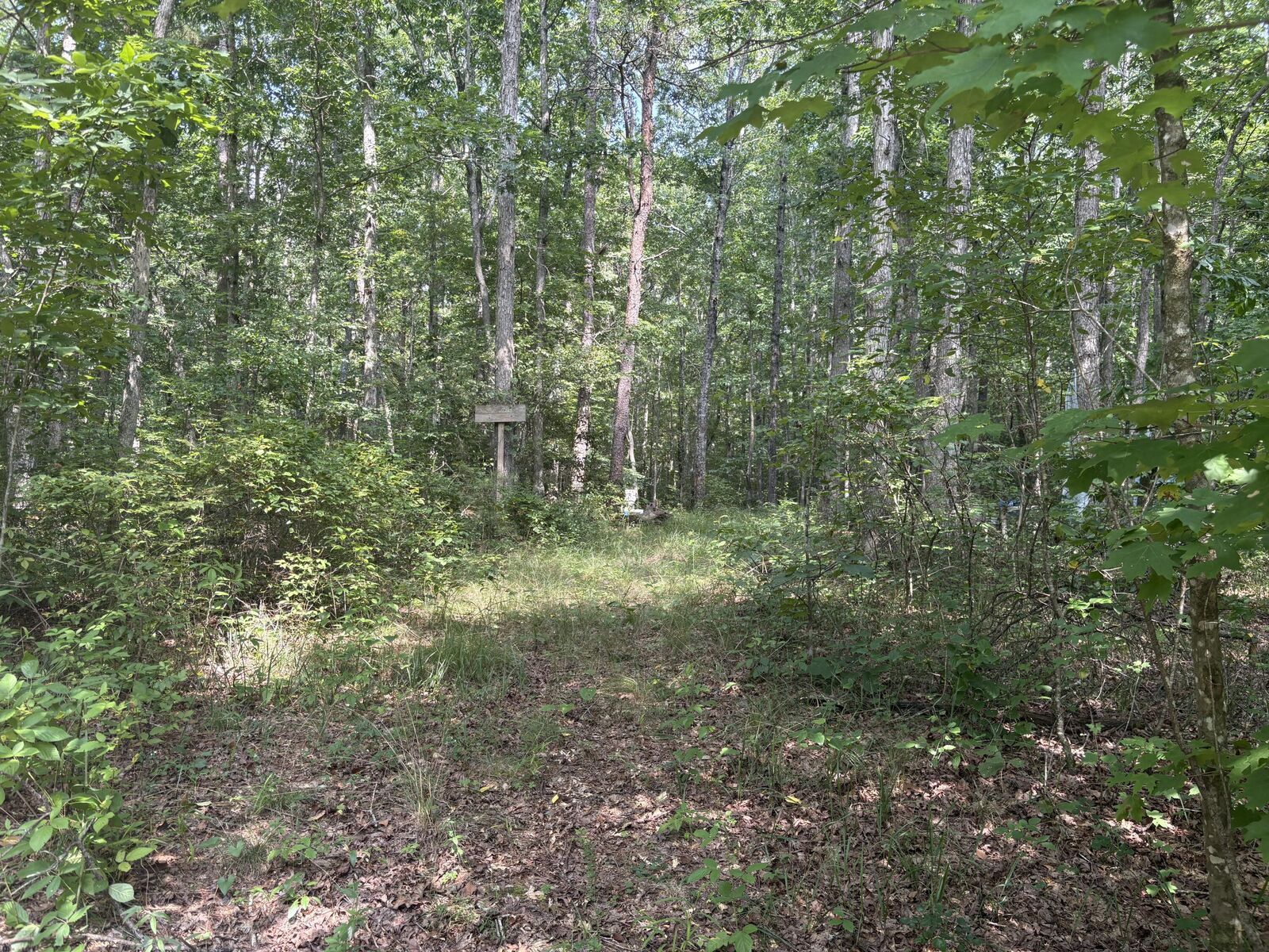 Property Photo:  0 Griff Johnson Road  GA 30731 