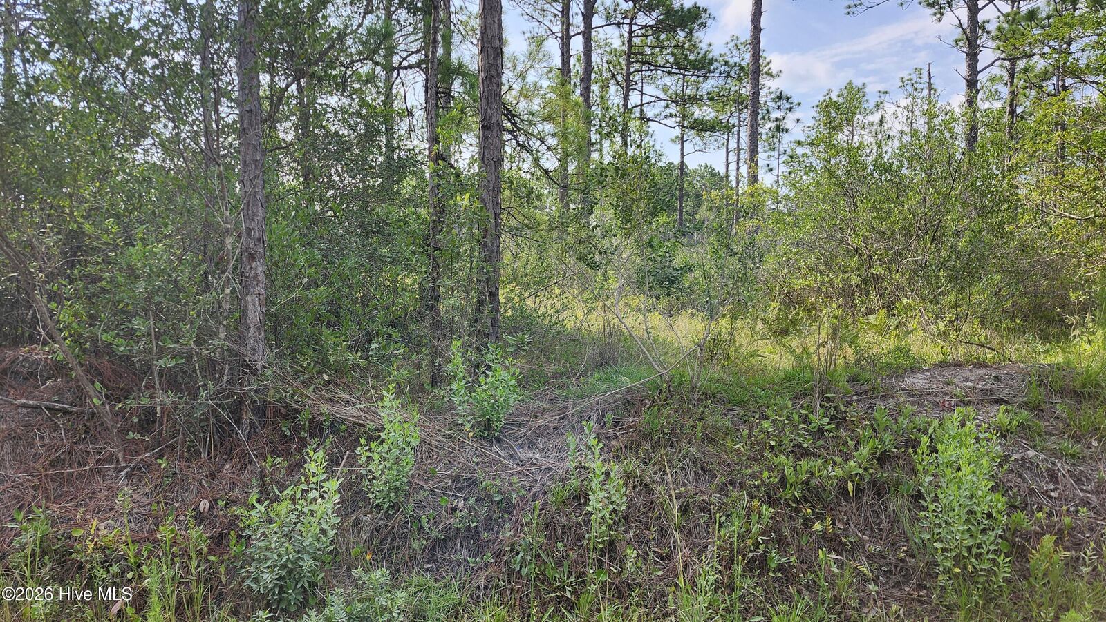 Property Photo: Lot 452 452 Queens Road NC 28461