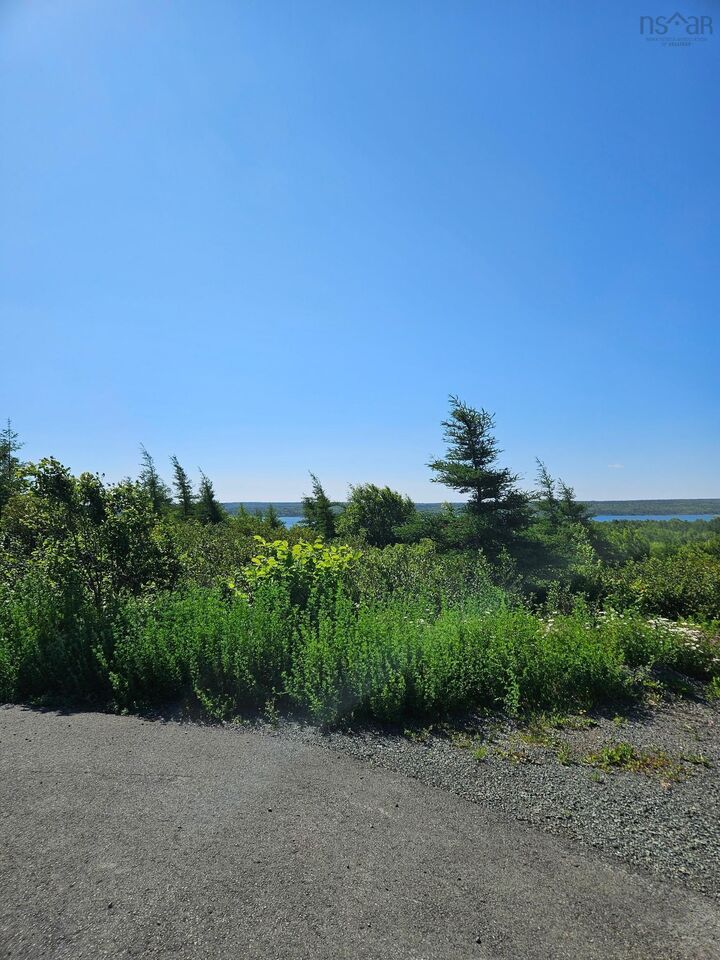 Property Photo:  2026-2 Drew Street  NS B1A 1A6 