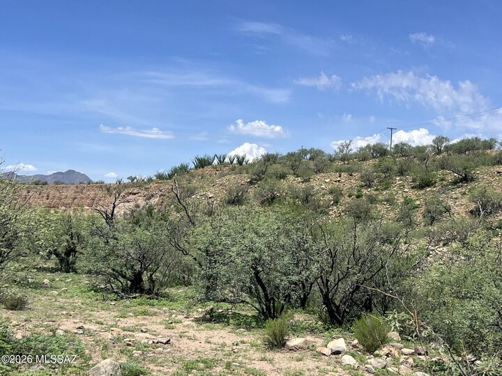 Property Photo:  286 Ciuta Corte 87  AZ 85648 