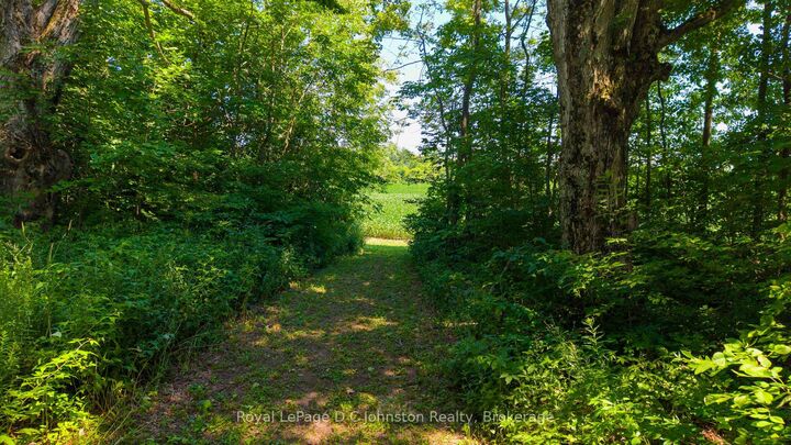 Property Photo:  305 Sideroad 25 N/A  ON N0G 2T0 
