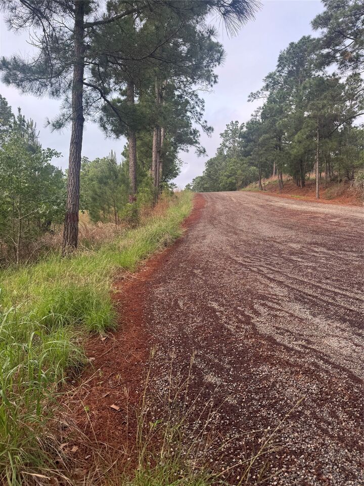 Property Photo:  Lots 1490, 1491, 1492 Haleakala  TX 78602 