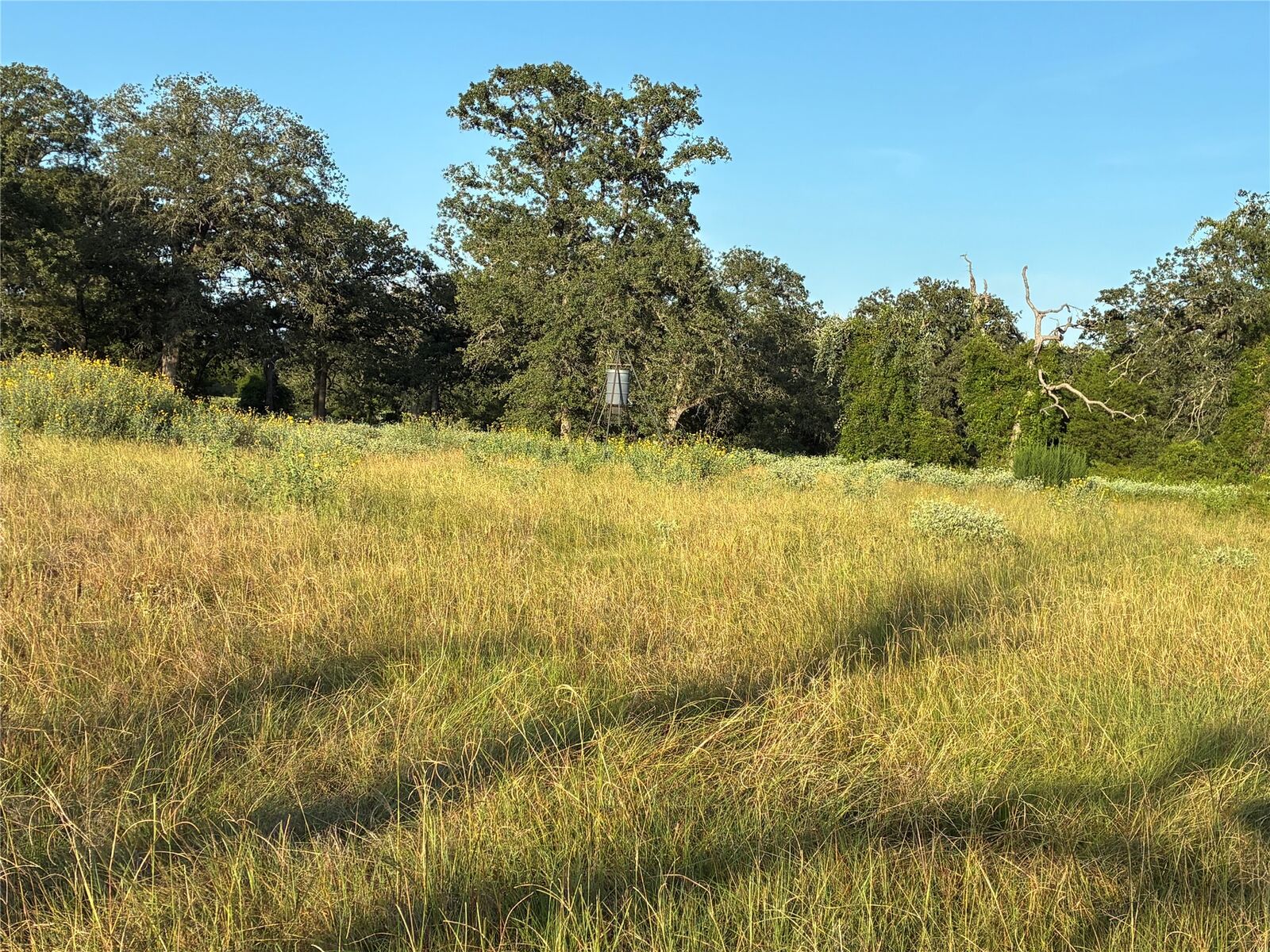 Property Photo:  2933 County Road 457  TX 76577 