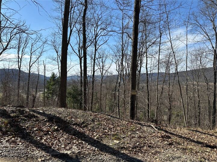 Property Photo: 0 O Brien Road N NY 14879