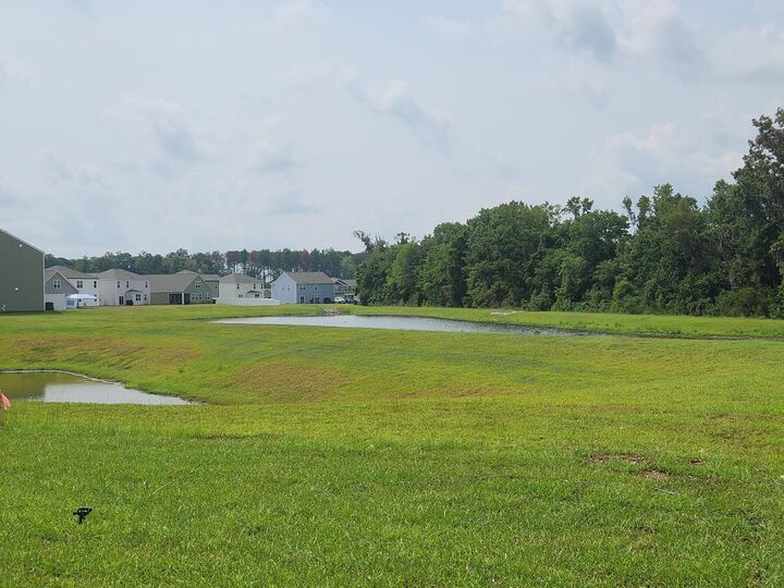 Property Photo:  213 Blue Haw Drive  SC 29461 