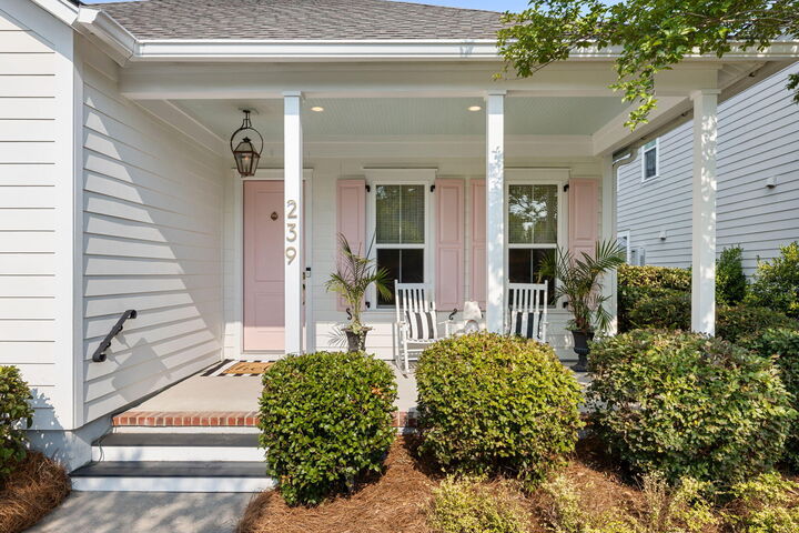 Property Photo:  239 Scholar Way  SC 29486 
