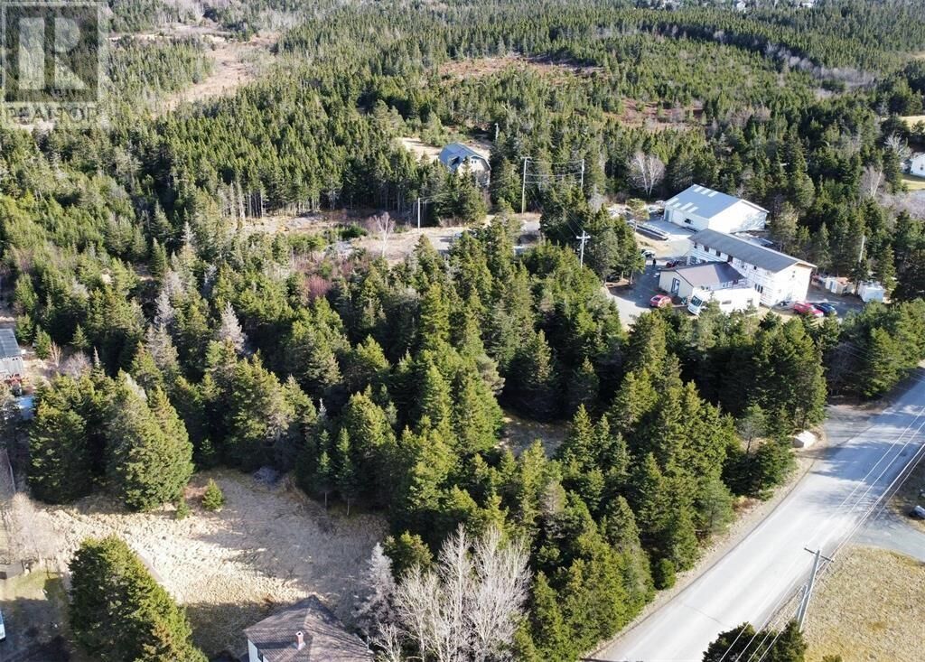 Property Photo:  149 Springfield Road  NL A0A 3W0 