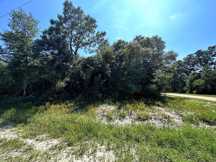 Property Photo:  2515 Oleander Ter  FL 32323 