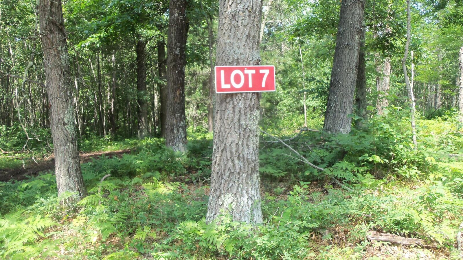 Property Photo:  Lot 7 Birch Tree Trl  WI 54801 