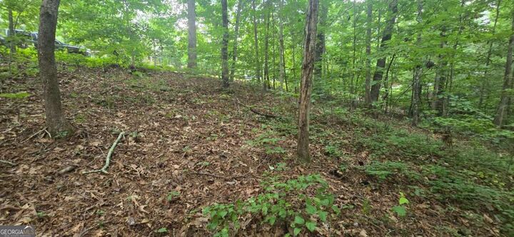 Property Photo:  Lot 9 Harris Creek Drive  GA 30540 
