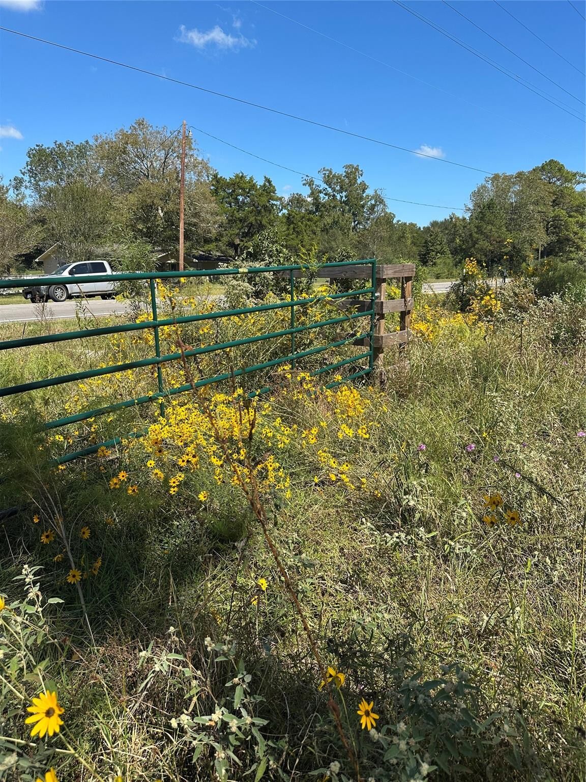 Property Photo:  1520 Fm 160 Road N  TX 77575 