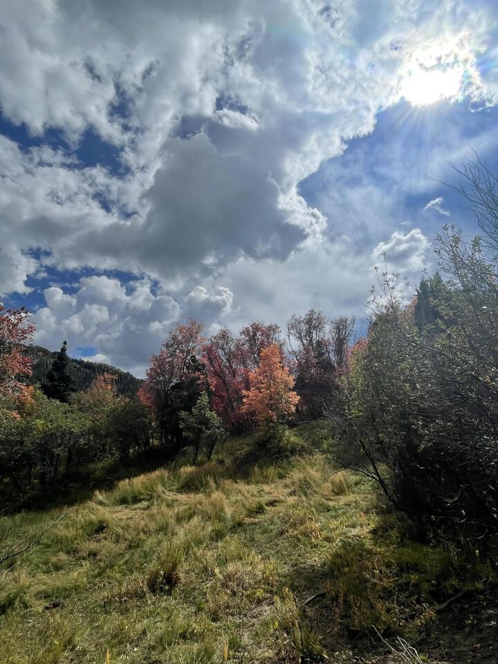 Property Photo:  Lot 129 3200 Subdivision  UT 84772 
