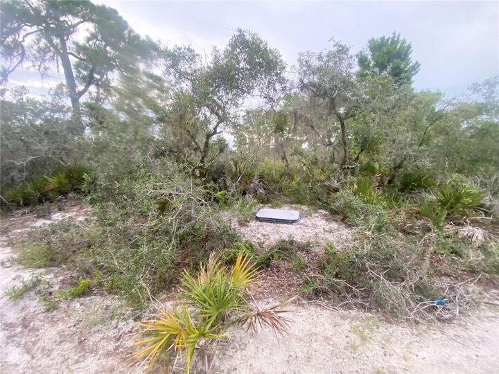 Property Photo: 325 Brant Avenue FL 33870