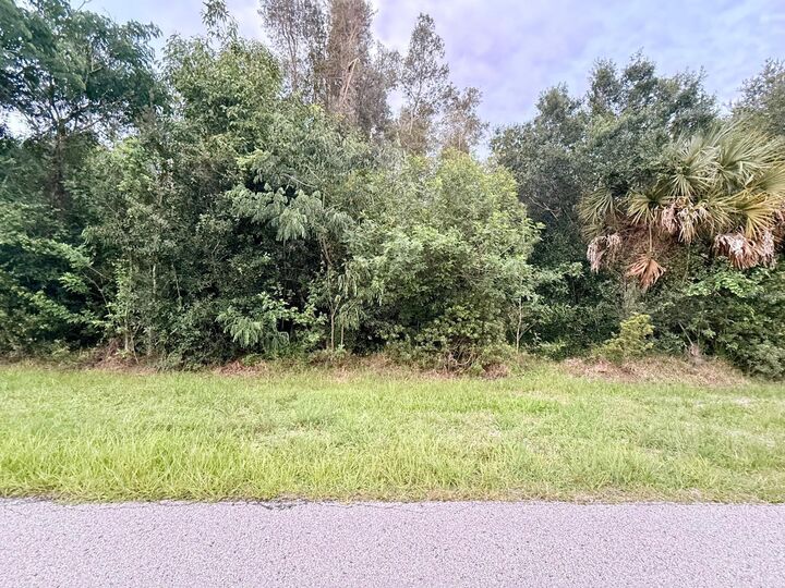 Property Photo:  133 Vanilla Circle  FL 33982 
