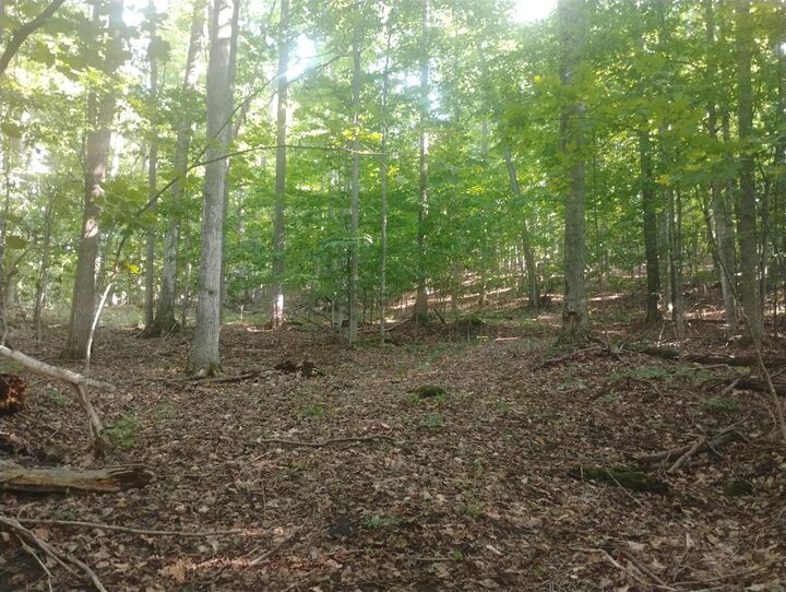 Property Photo:  6383 Lee Road  MI 49727-9562 