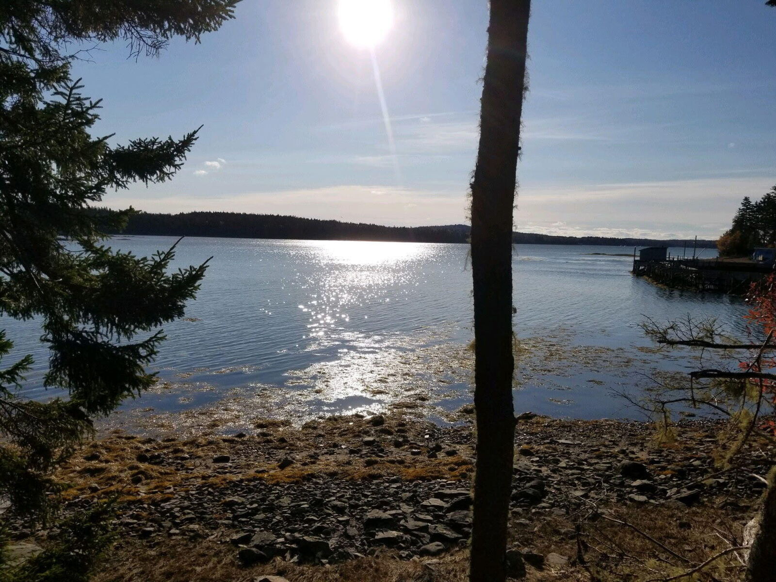 Property Photo:  Lot 4 125 Aspen Lane  ME 04680 