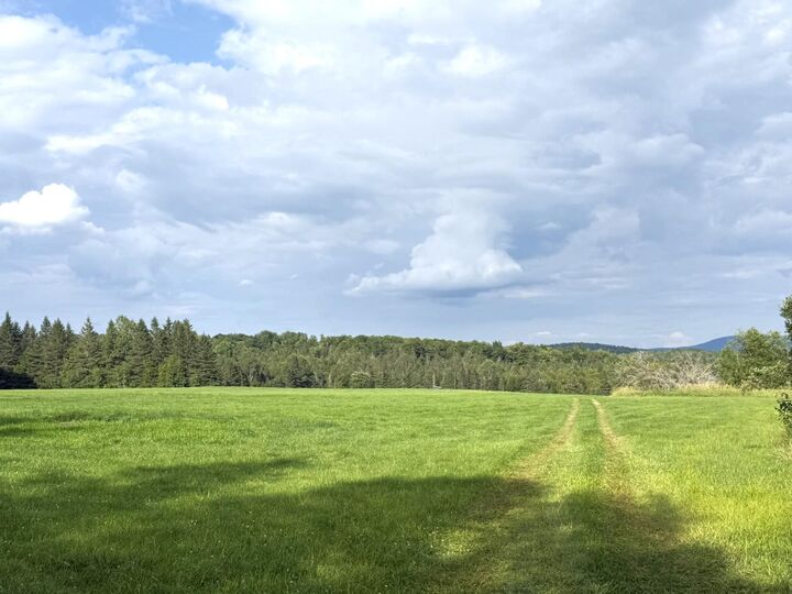 Property Photo:  0 Cobb School Road  VT 05843 