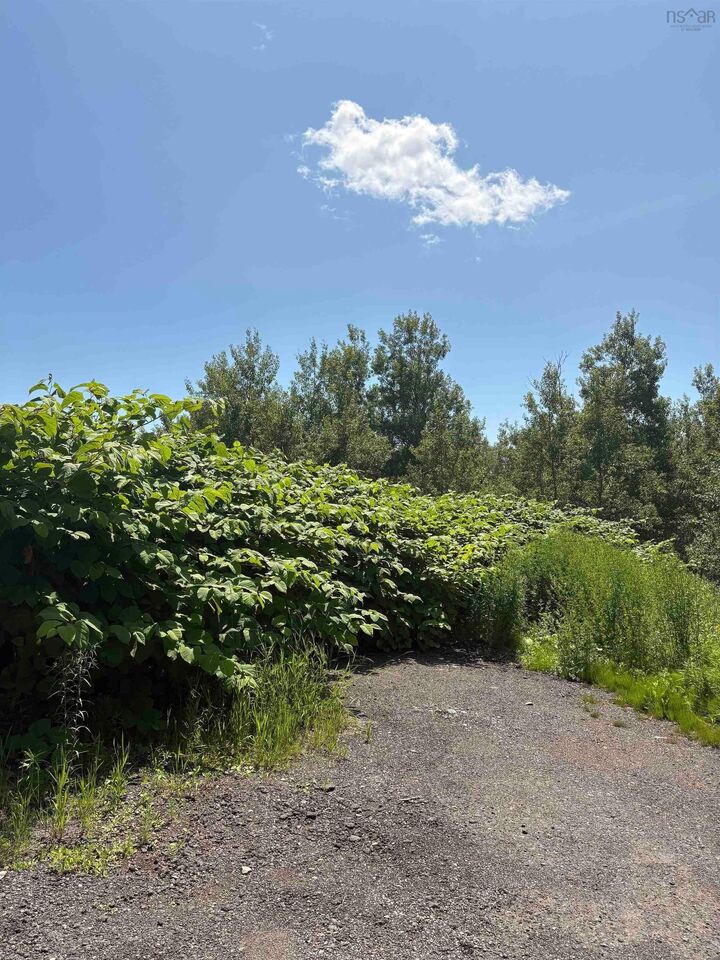 0 Lorway Avenue — photo 1